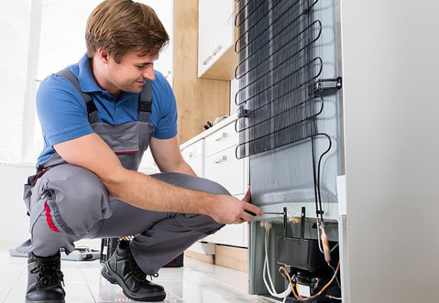 Tecnico Assistenza Frigorifero Pisa